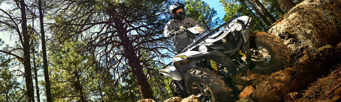 2017 Yamaha Grizzly for sale in Early's Cycle Center, Harrisonburg, Virginia